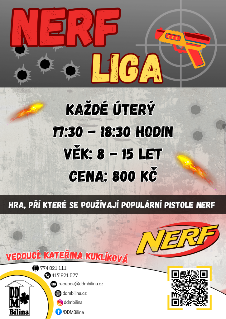 NERFLIGA.png