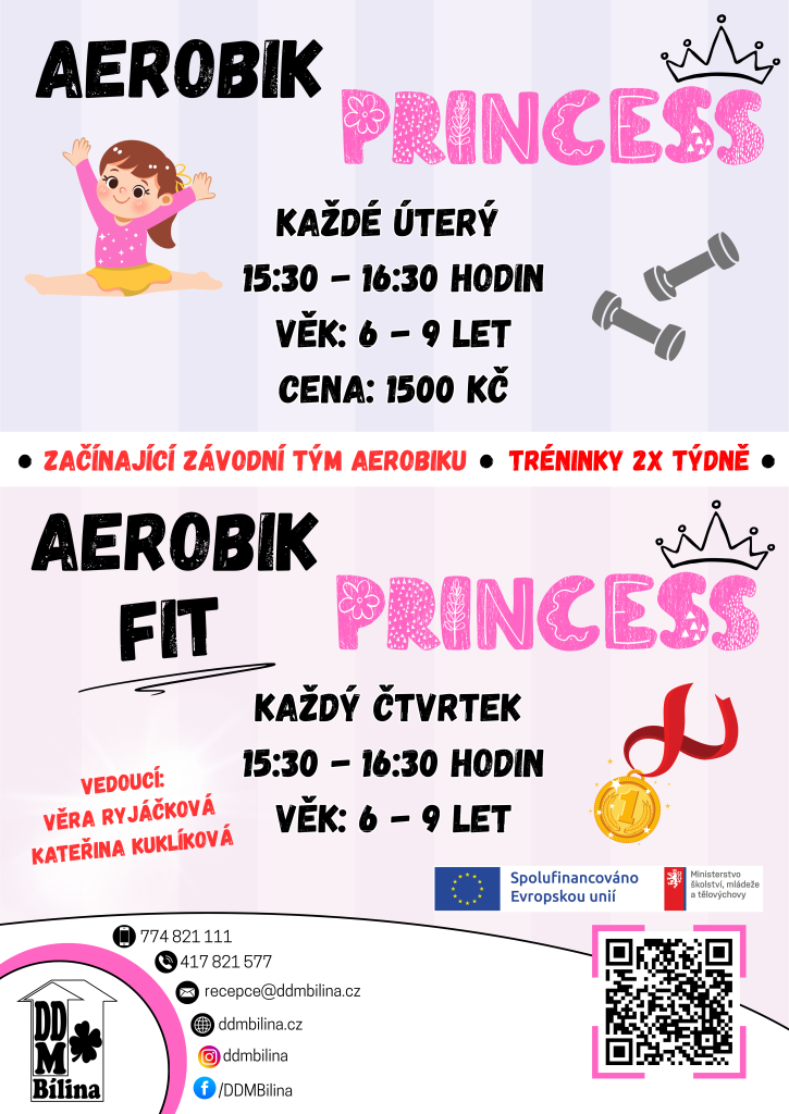 AEROBIK PRINCESS.png