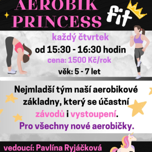 Aerobik FIT Princess.jpg