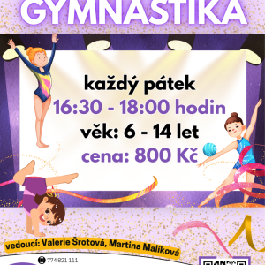 Sportovní gymnastika.png