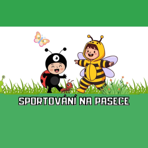 Sportování na pasece